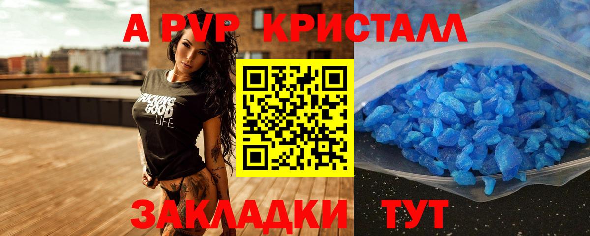 A PVP крисы CK Луга