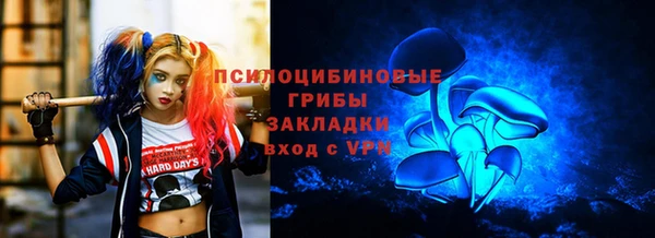 гашик Нея