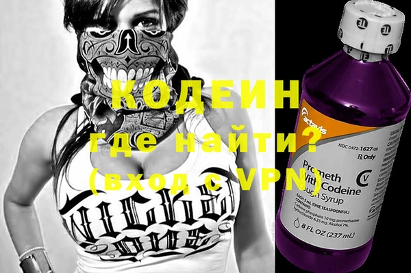 гашик Нея