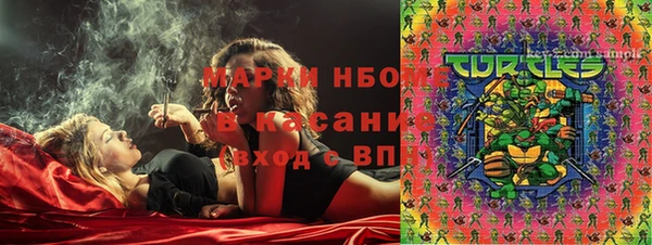 гашик Нея