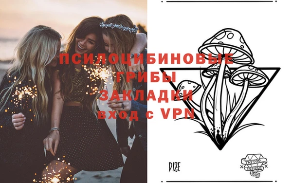 гашик Нея