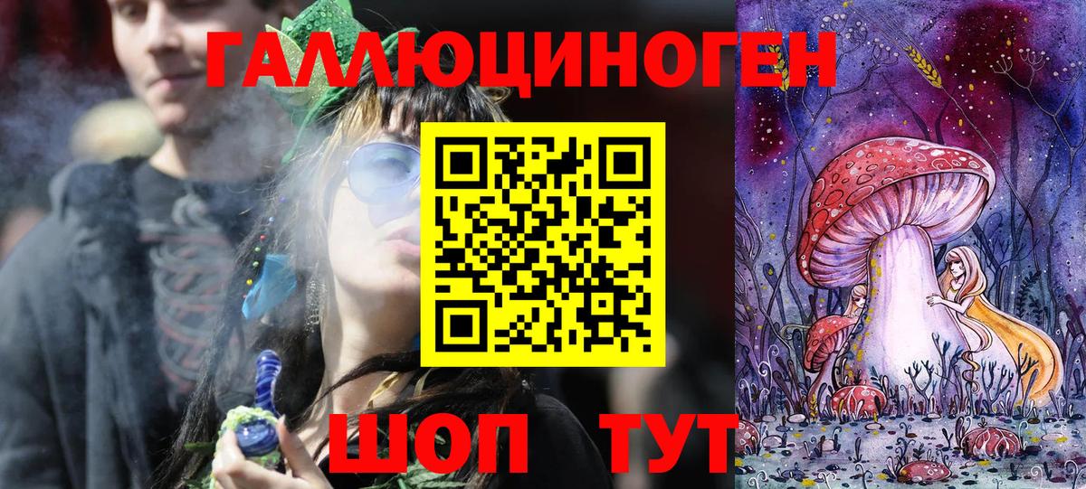 Псилоцибиновые грибы Cubensis  Галлюциногенные грибы Psilocybe  Луга 