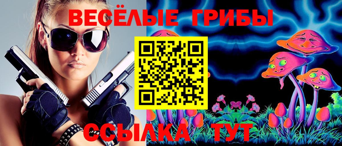 Галлюциногенные грибы Psilocybine cubensis Луга