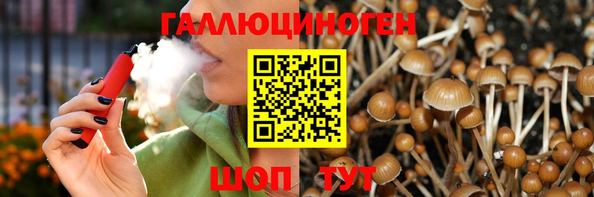 Псилоцибиновые грибы Psilocybe  Вход с VPN  Луга 